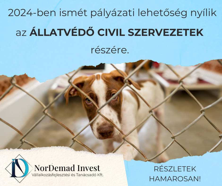 Pályázati lehetőség állatvédő civil szervezetek részére